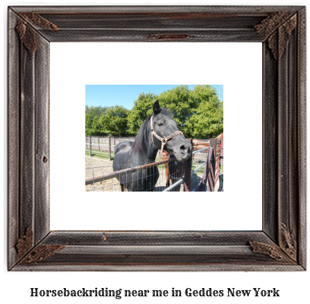 horseback riding near me in Geddes, New York